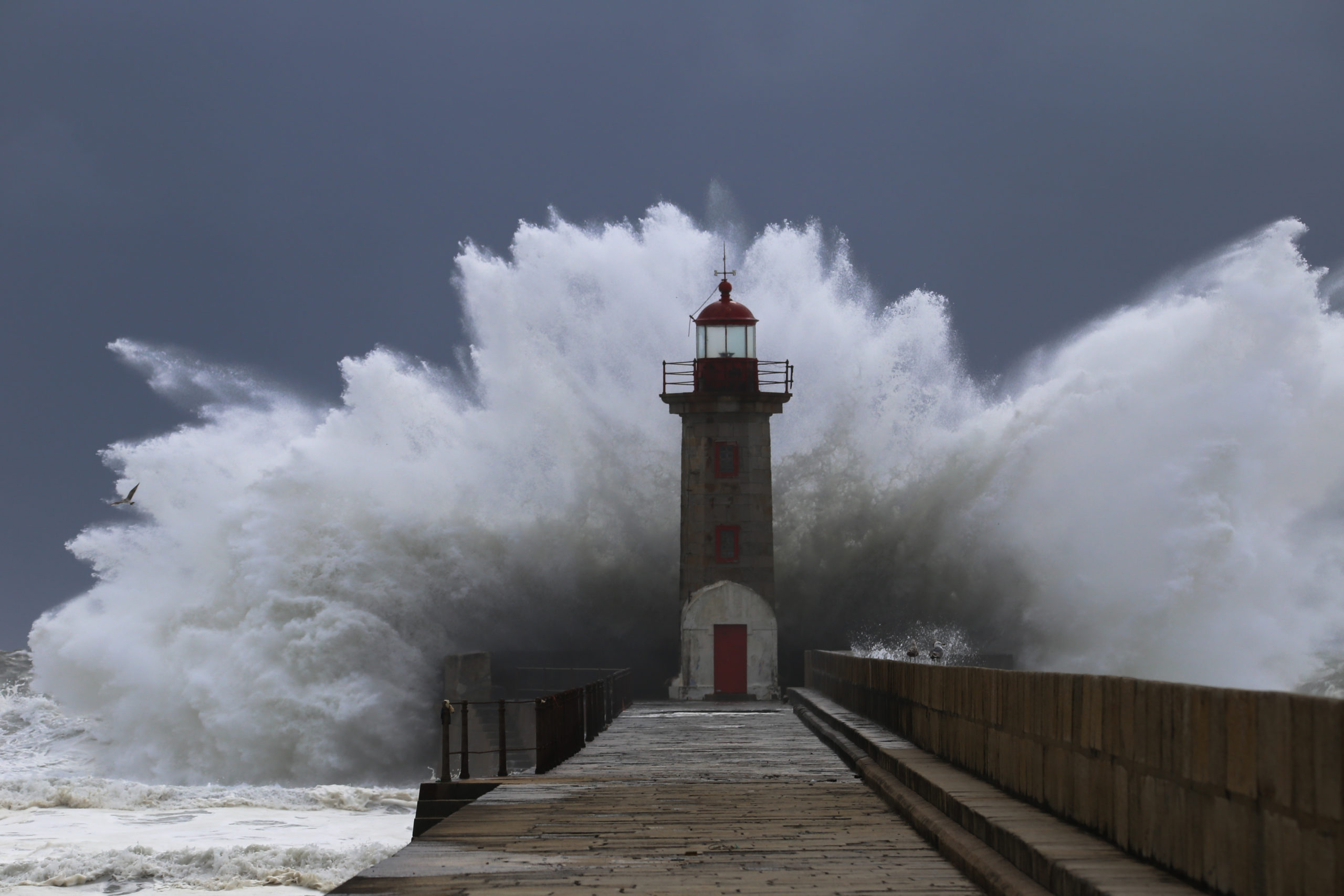 maritime insurance